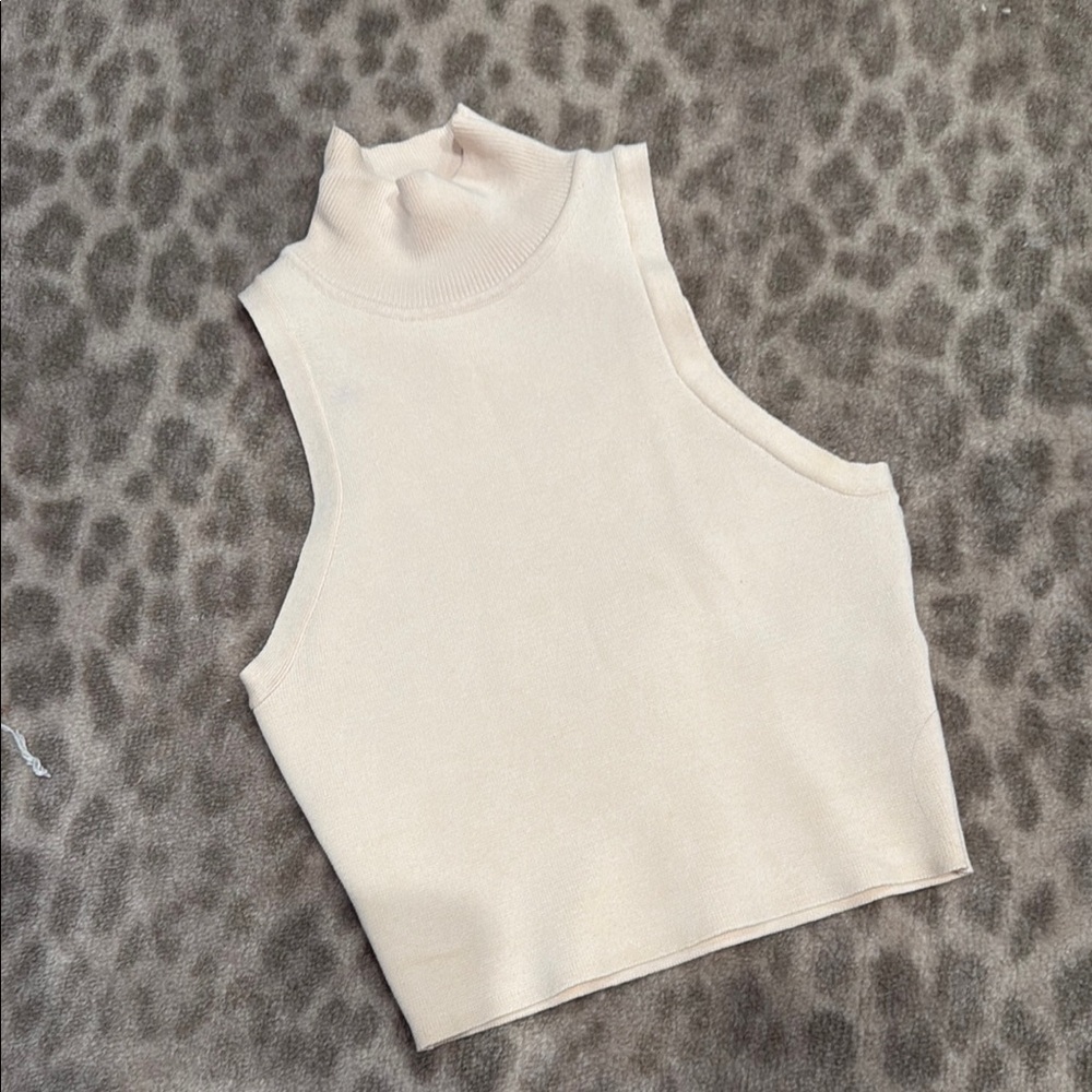 Zara Blush Sleeveless Crop Tank Top